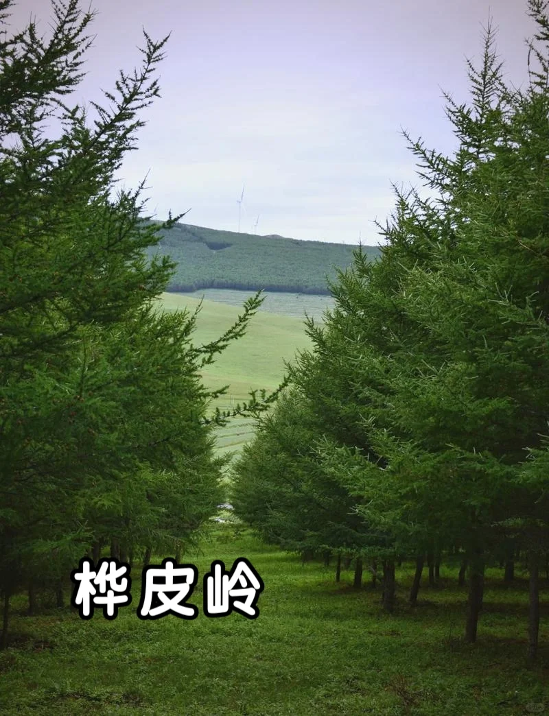 用deepseek找端午小众人少旅游景点