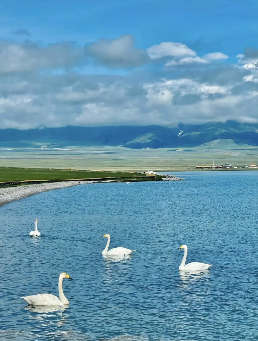 五月伊犁美到窒息😭