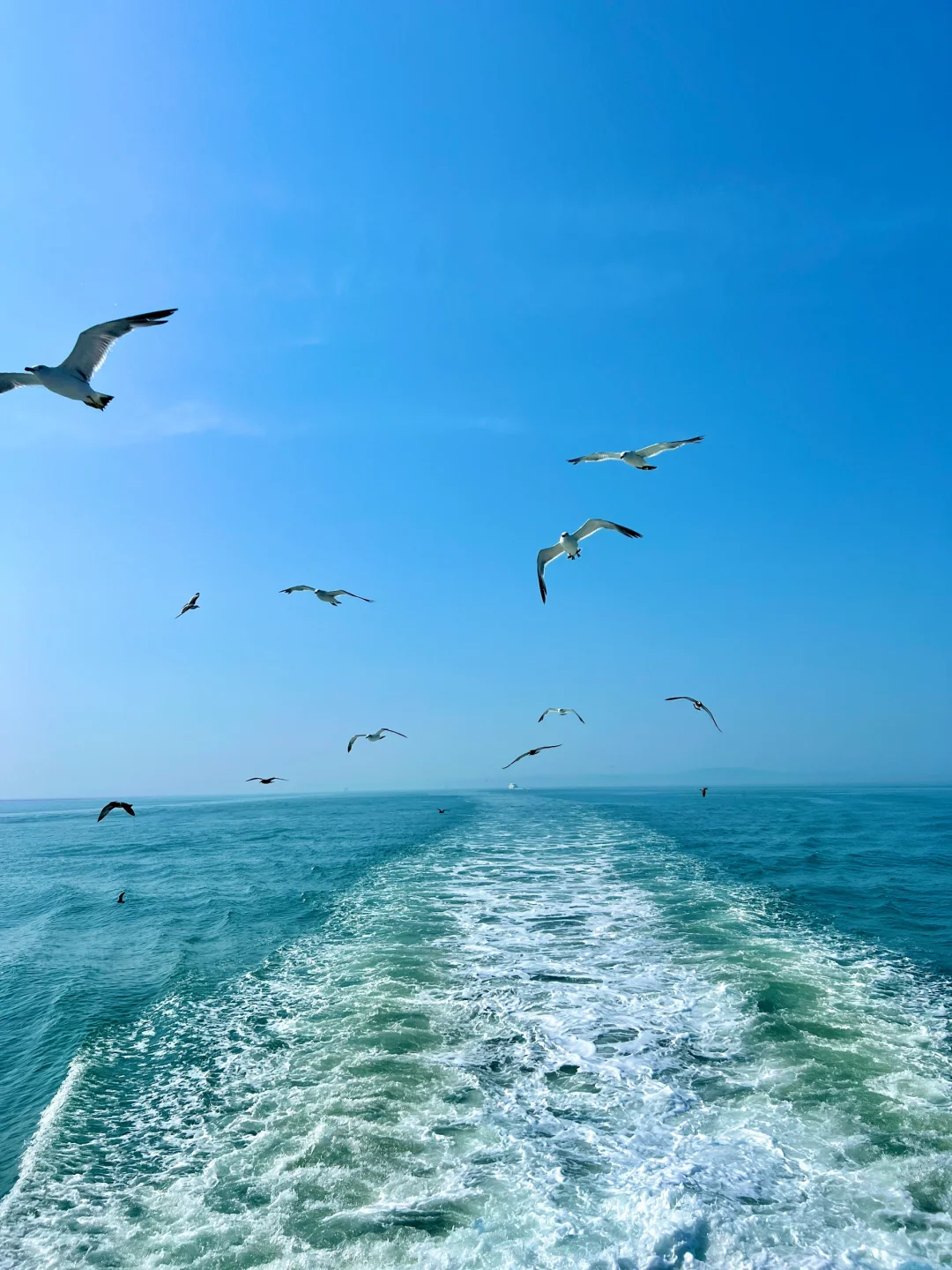 烟台旅行后劲太大了😭国内海岛天花板实锤‼️