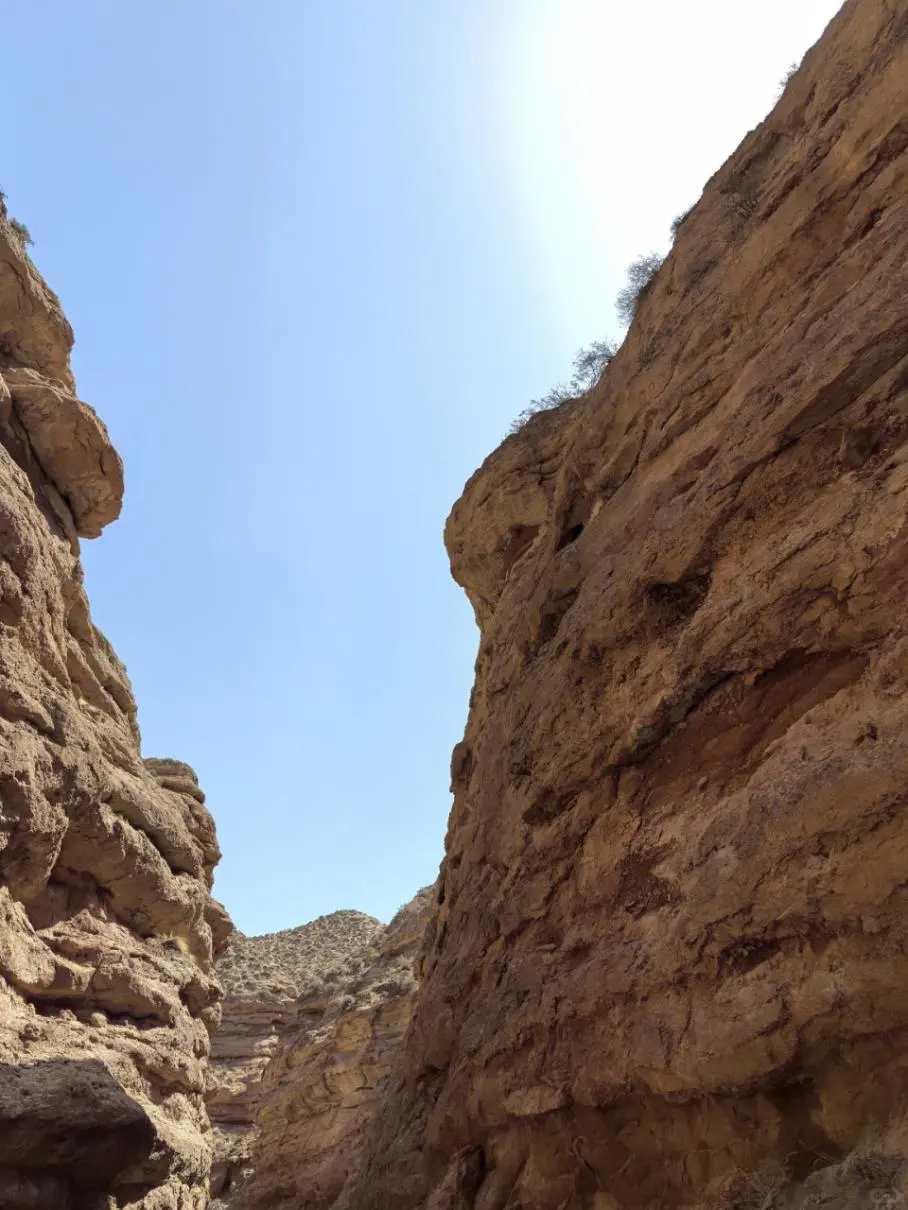 不用滤镜也能拍出壁纸感