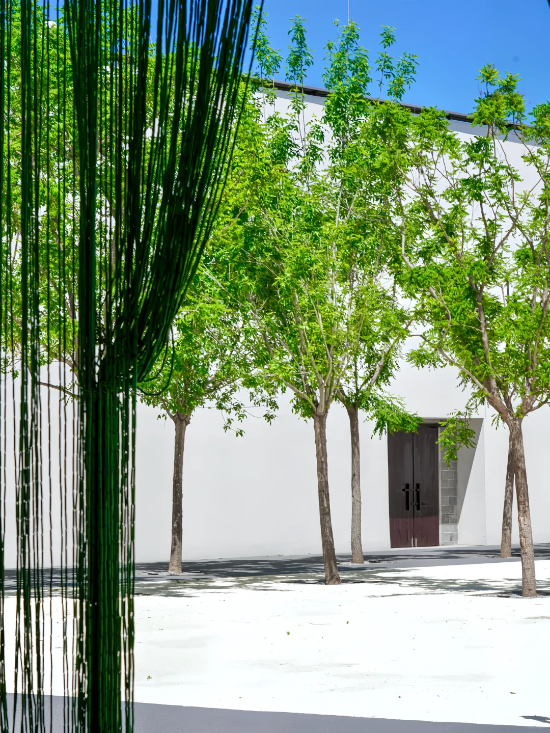 为了这组照片,我特地去了一趟廊坊!