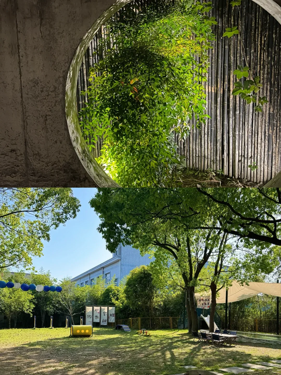 乌镇9大必打卡景点！去过才算到过江南水乡