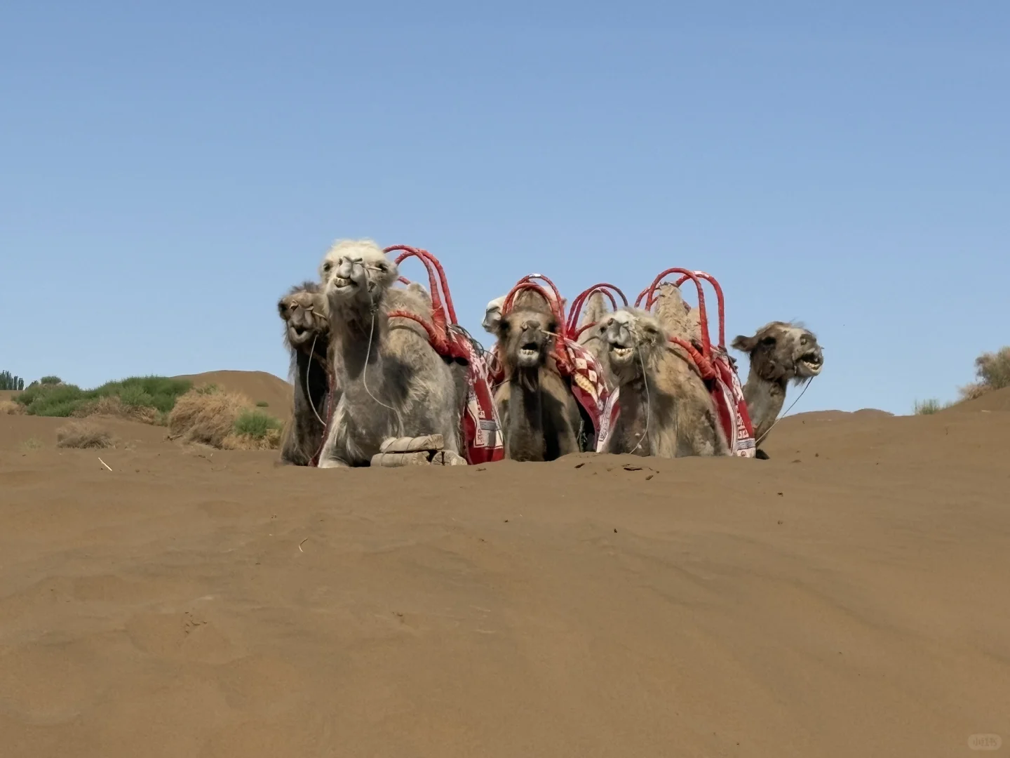 2025·5·25吐鲁番