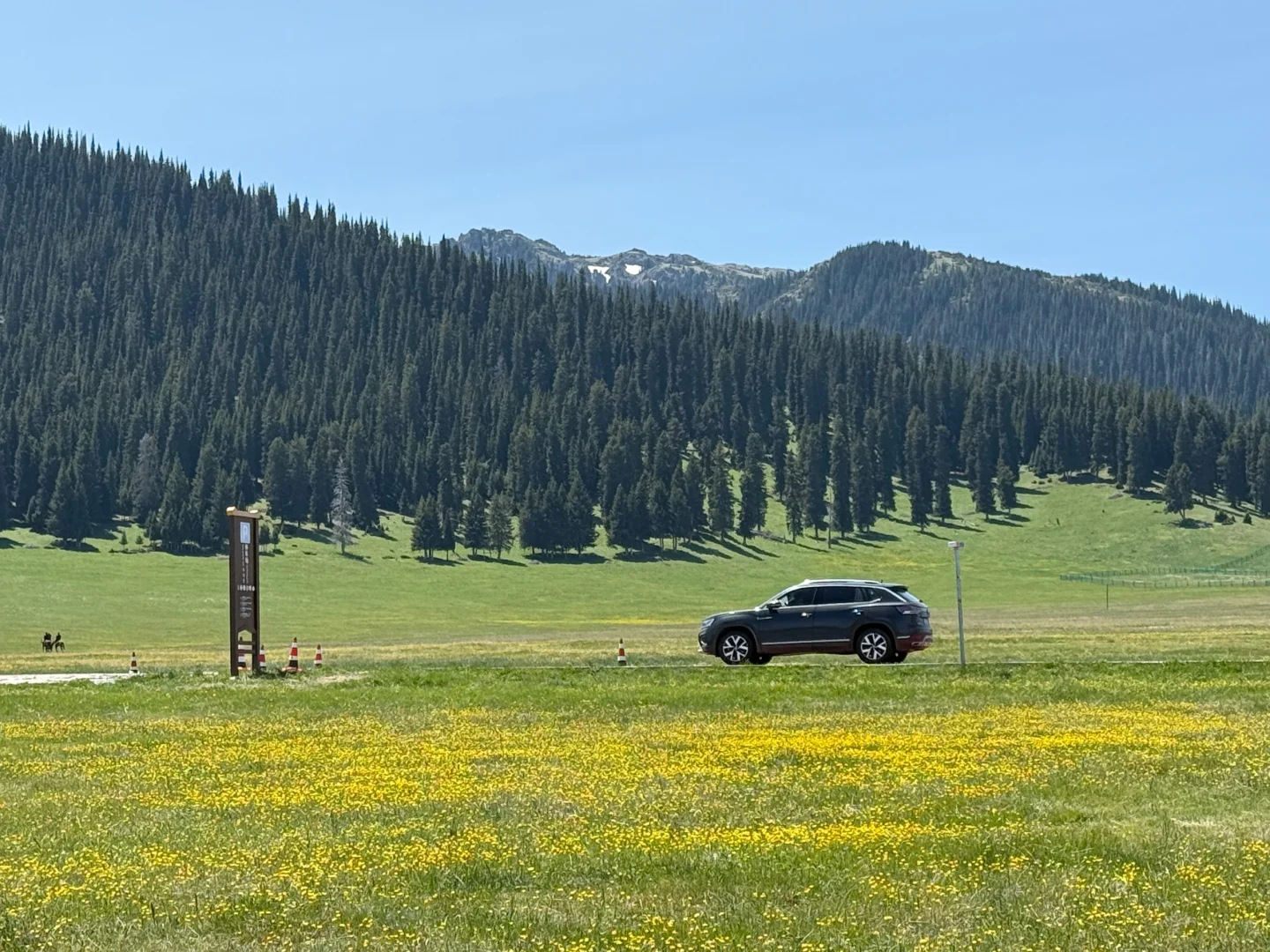 赛里木湖自驾攻略