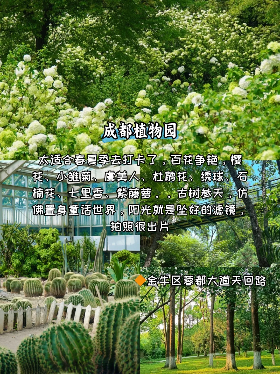 五一避开人挤人✅成都这12个冷门景点可以冲