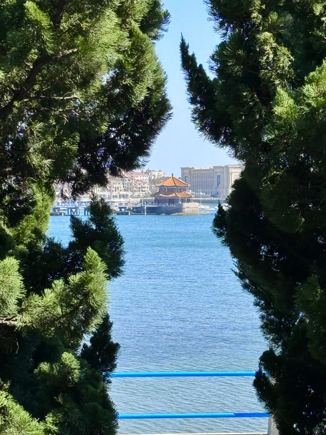 5.24青岛实况！！海边已经是next level