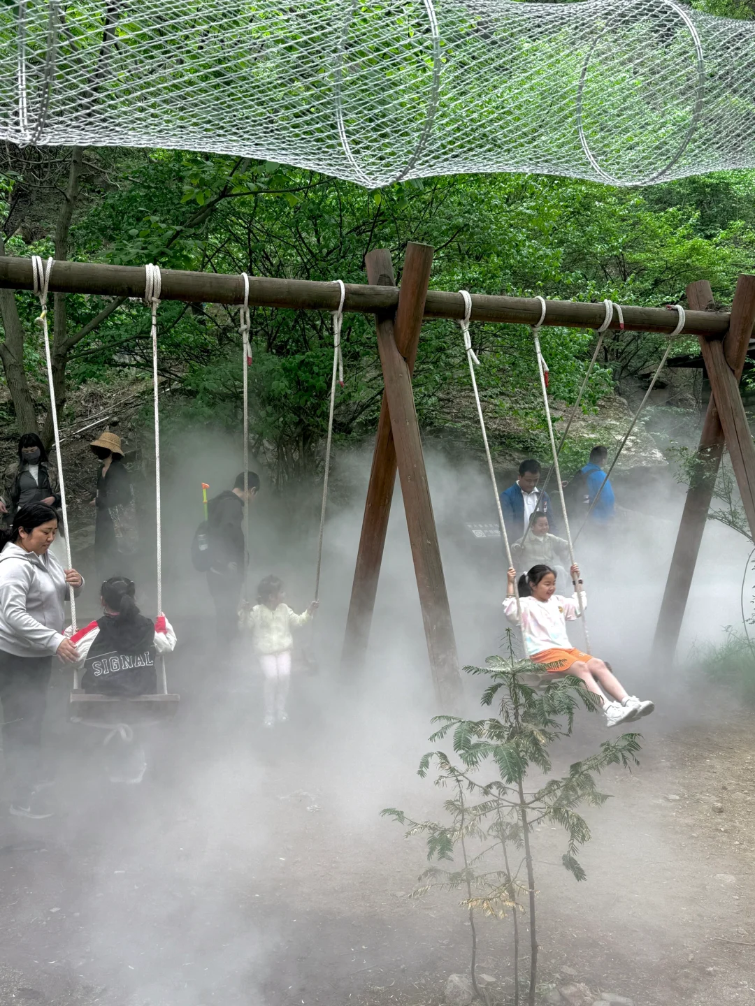 天然氧吧🌳 公主请入谷！