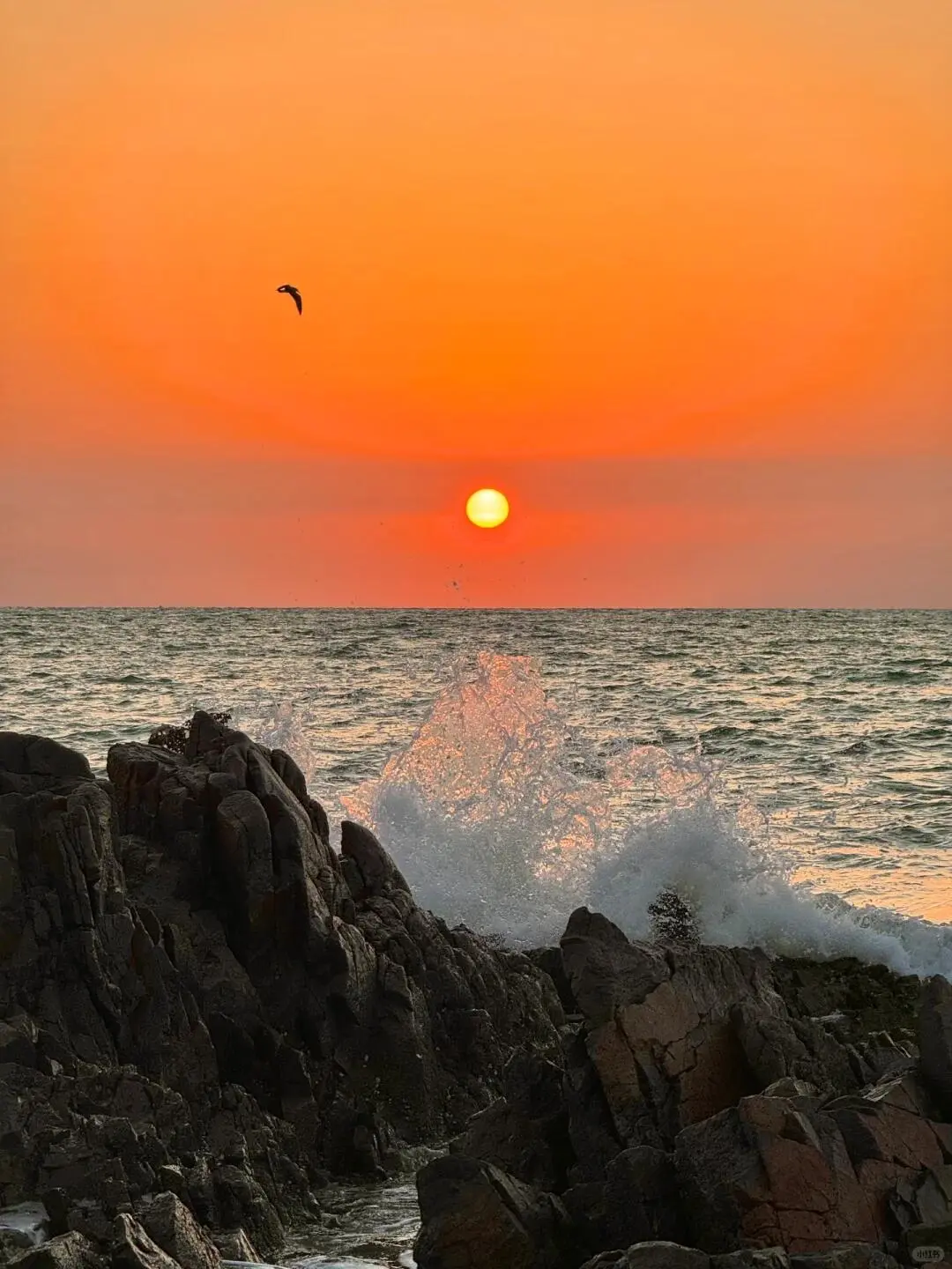 海风轻拂,啤酒飘香,这是属于青岛的夏日记