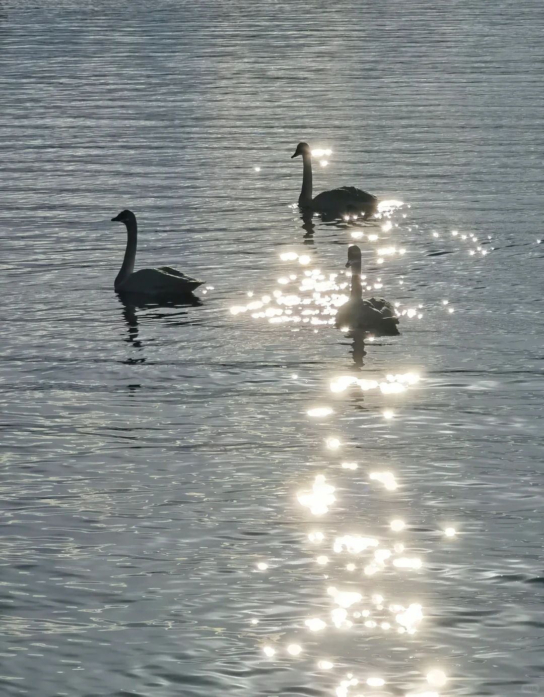 赛里木湖自驾攻略