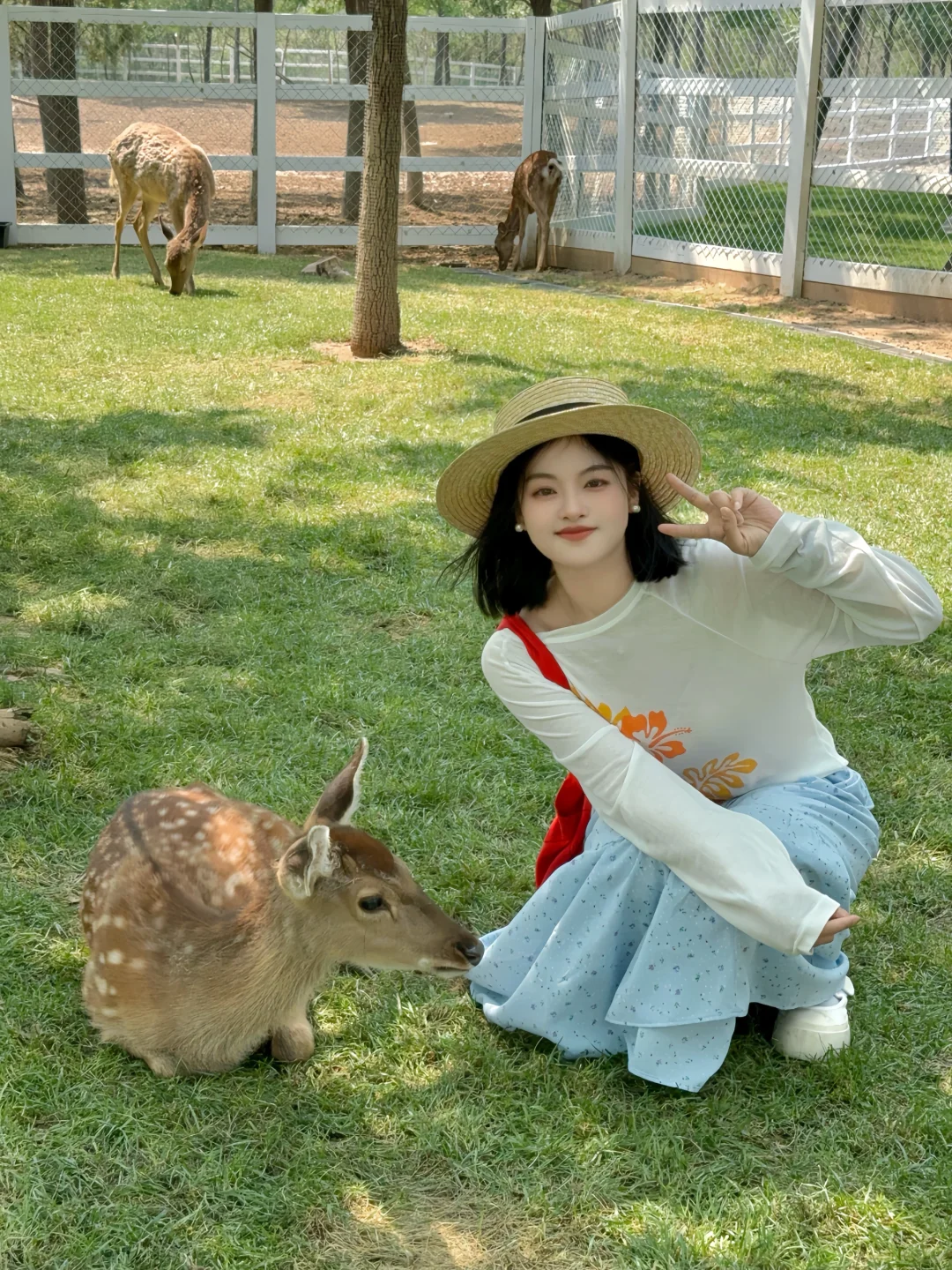 邯郸版小奈良（附详细游玩攻略）