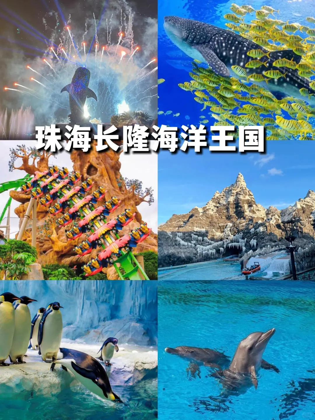 周末出游✨珠海必去的10大景点➕美食攻略