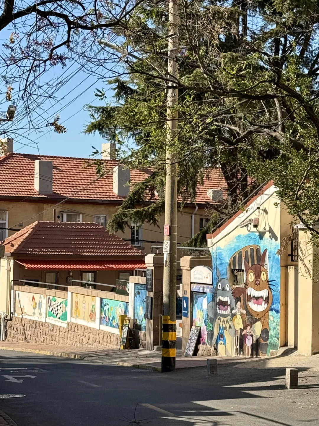 我的生命就应该浪费在青岛。。。(附路线)