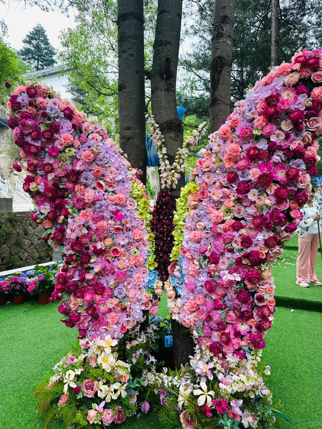 天然氧吧🌳 公主请入谷！