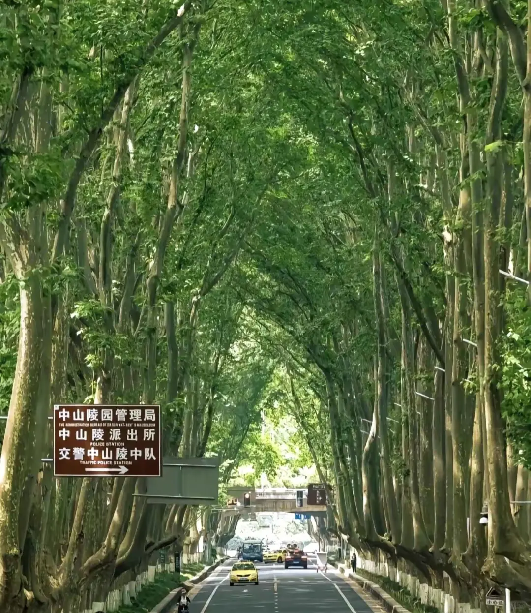 漫步南京城，感受六朝古都的独特韵味～🌟