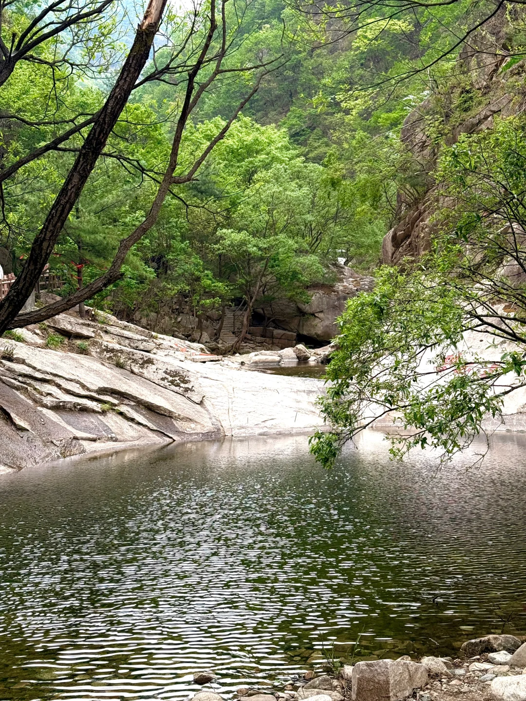 天然氧吧🌳 公主请入谷！