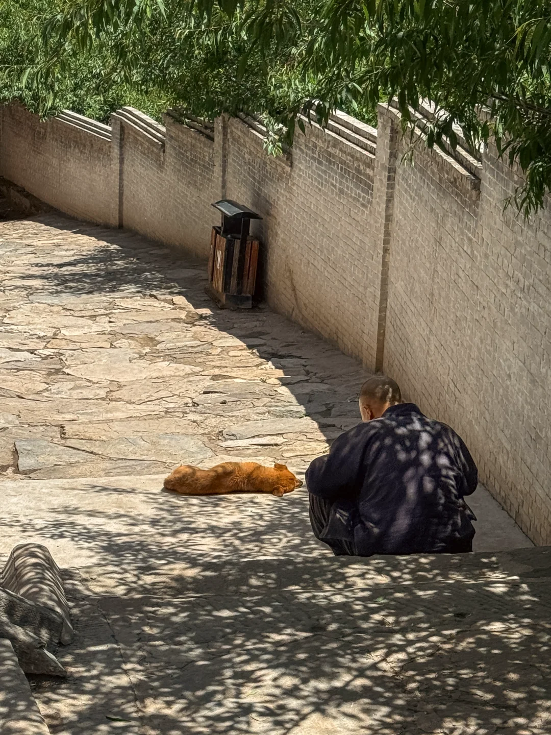 谁还没来过这座美丽的山西小城‼️