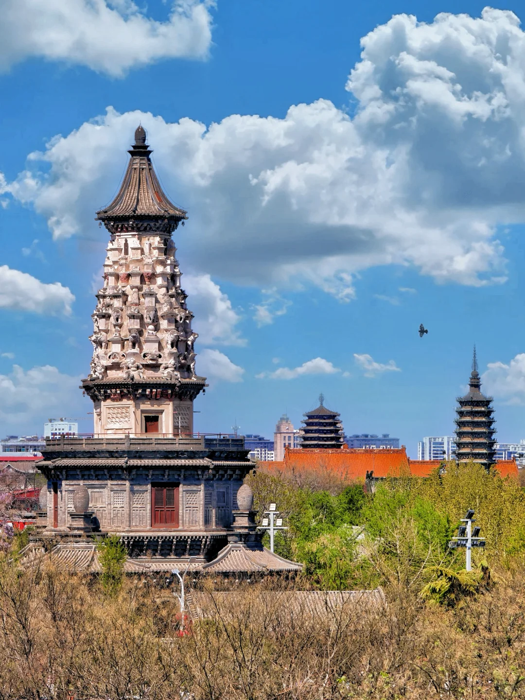 北京出发|挑战周末出去玩📍第❷站:正定