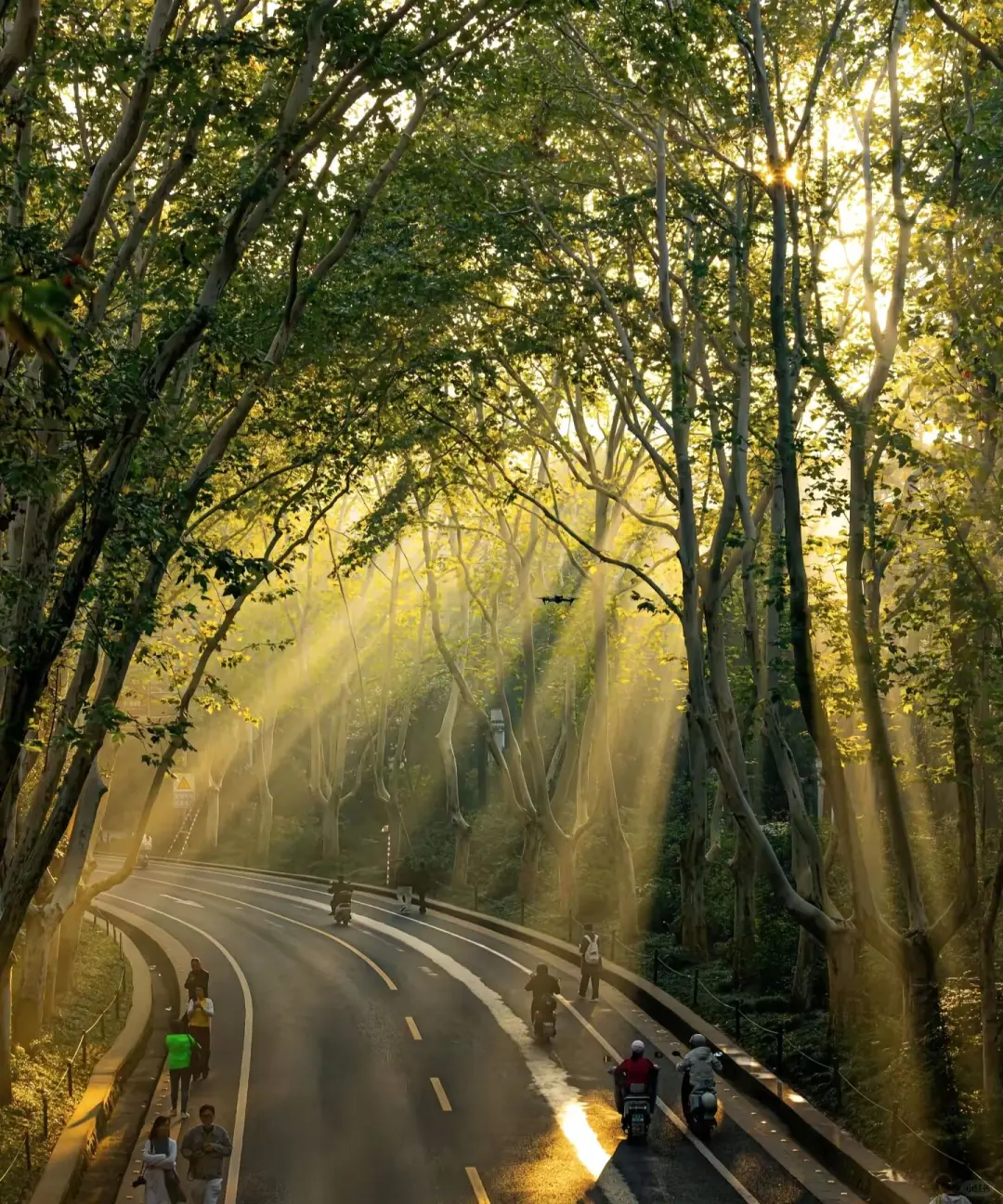 漫步南京城，感受六朝古都的独特韵味～🌟