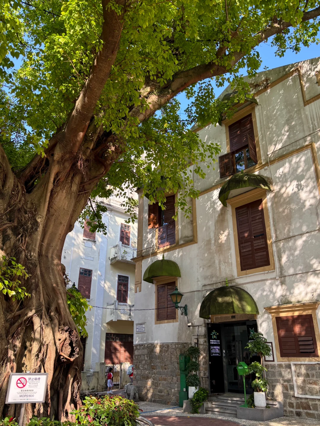 澳门📍City walk爱好者的天堂