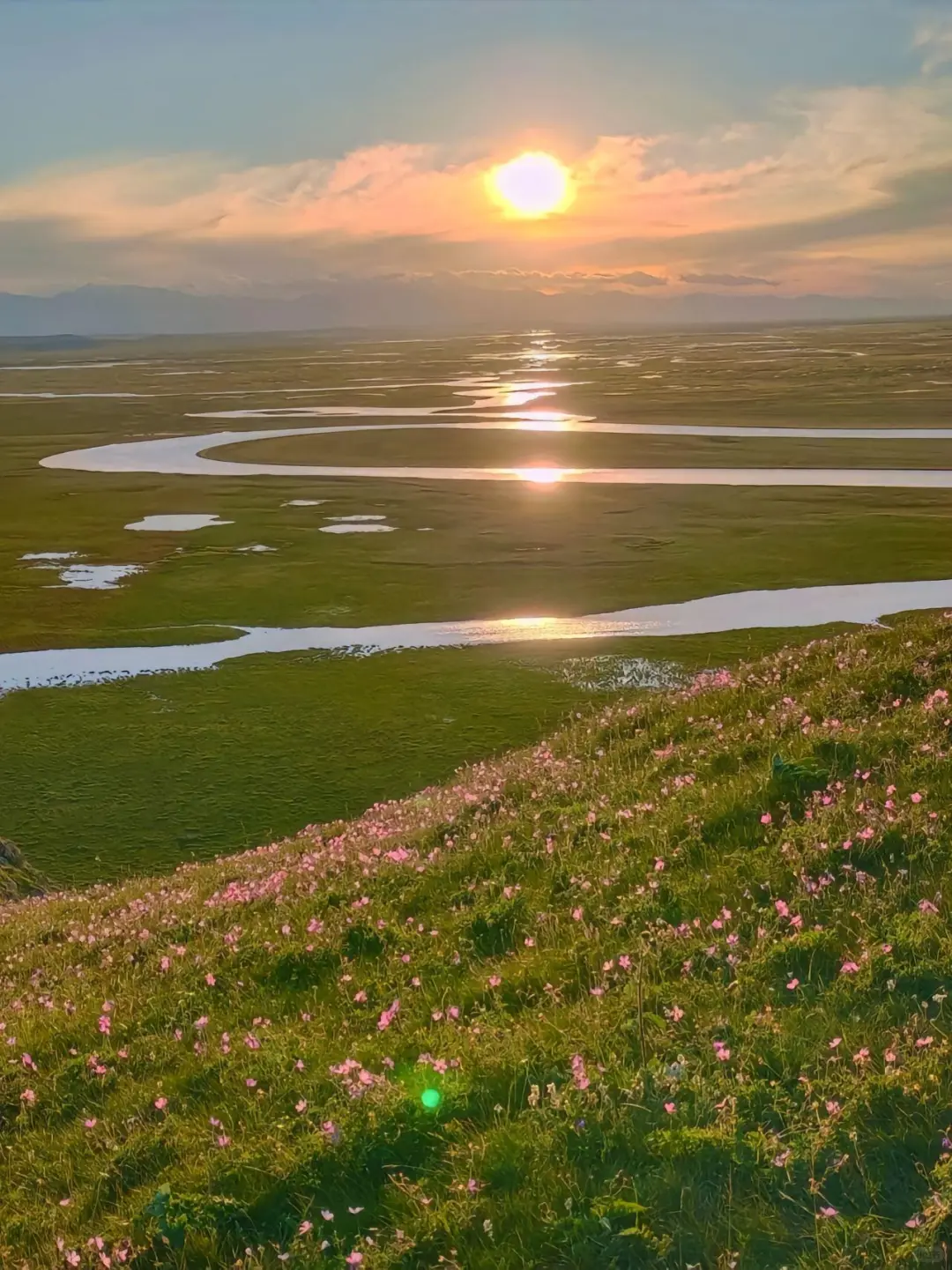 五月伊犁美到窒息😭