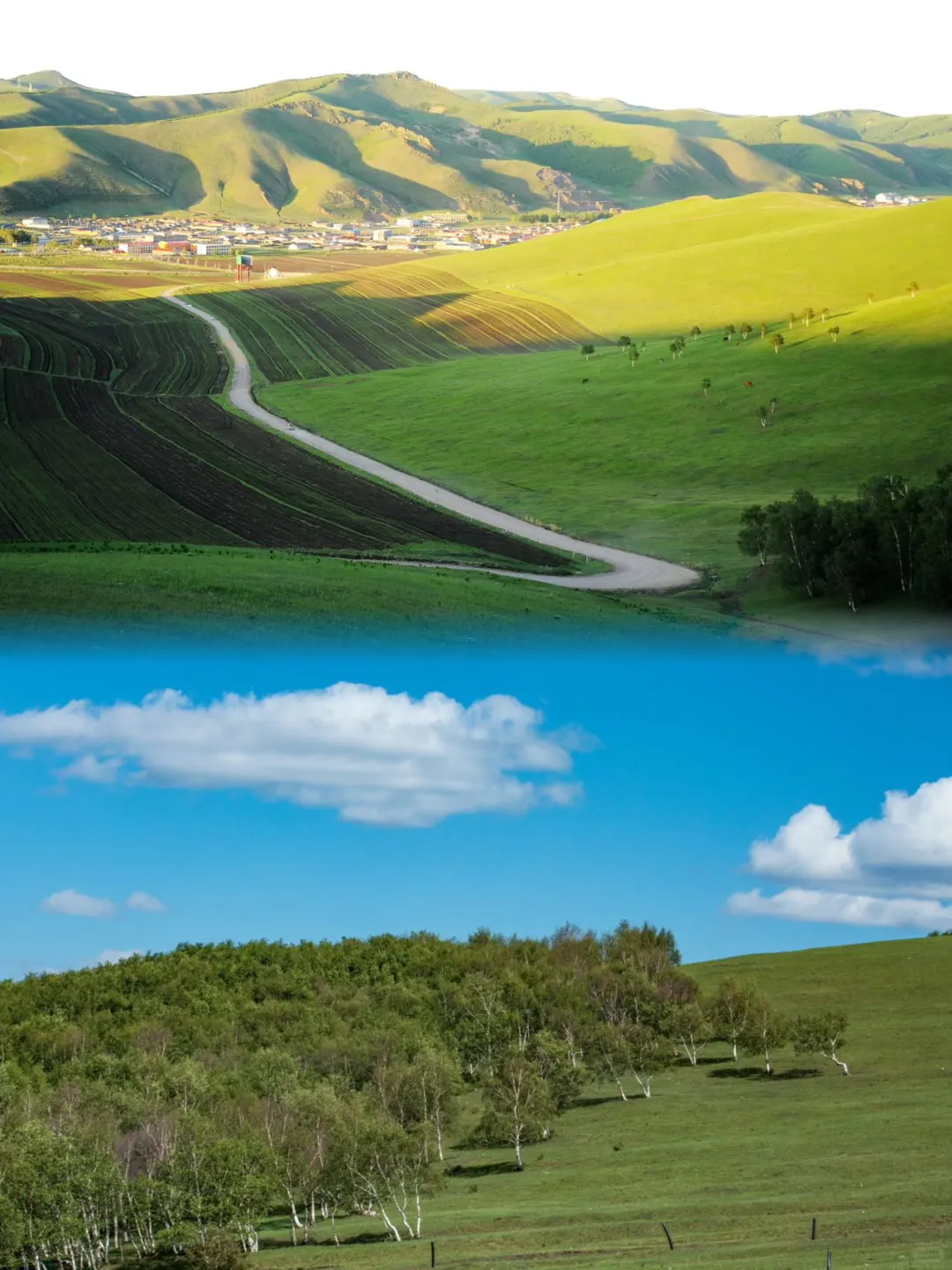 逃离城市计划!去有风的地方吧~🚗