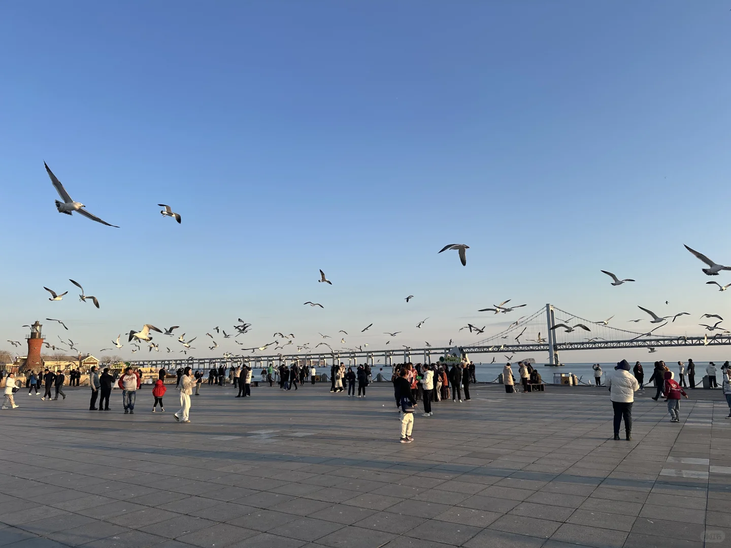 别再乱做攻略了 超强攻略指南来了