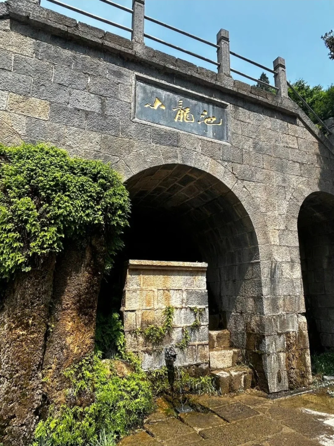 与志俊一起打卡小龙池