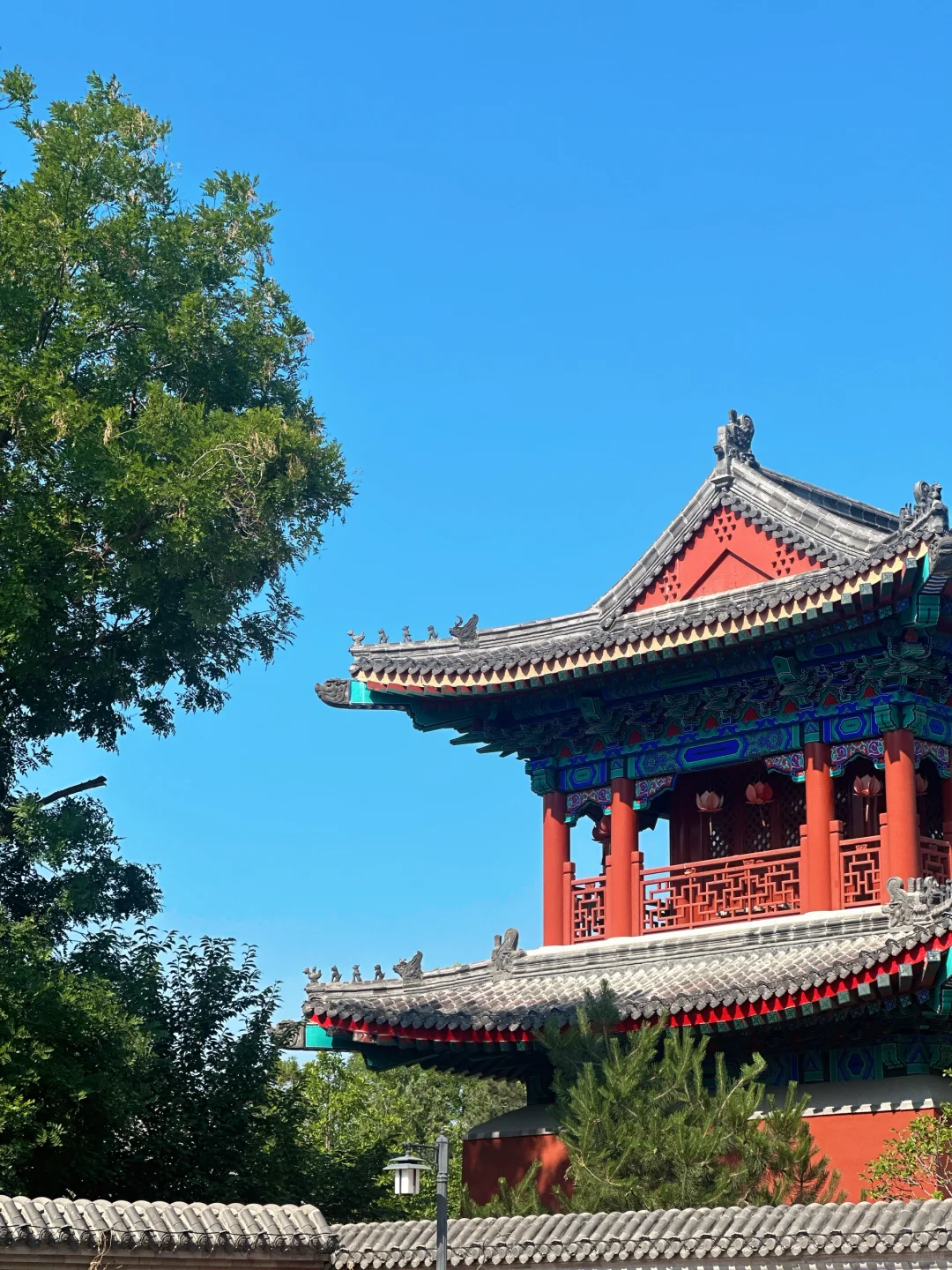 探访望都尧母文化园