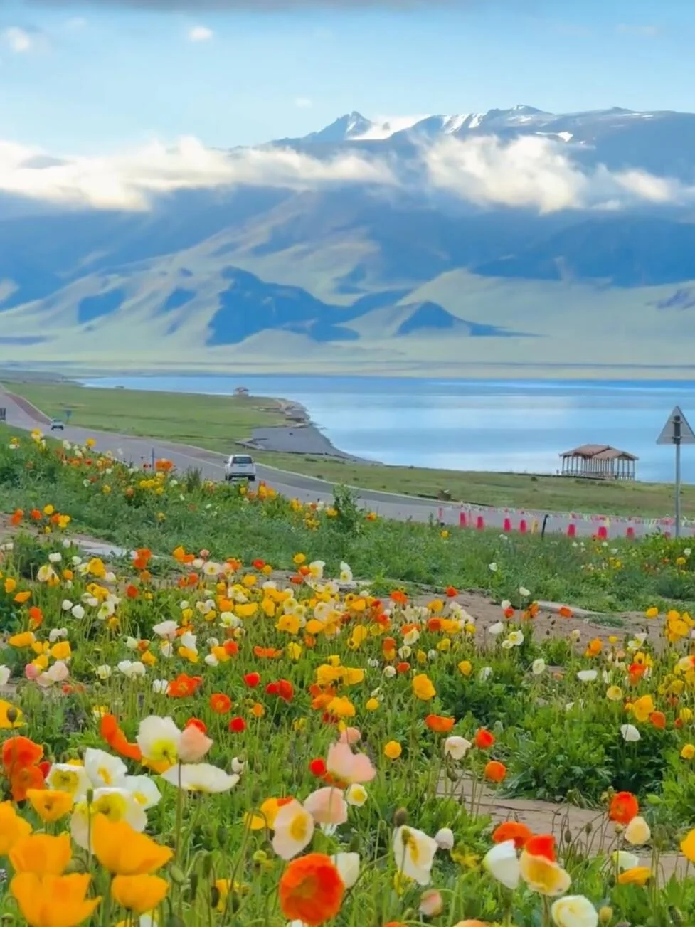 五月伊犁美到窒息😭