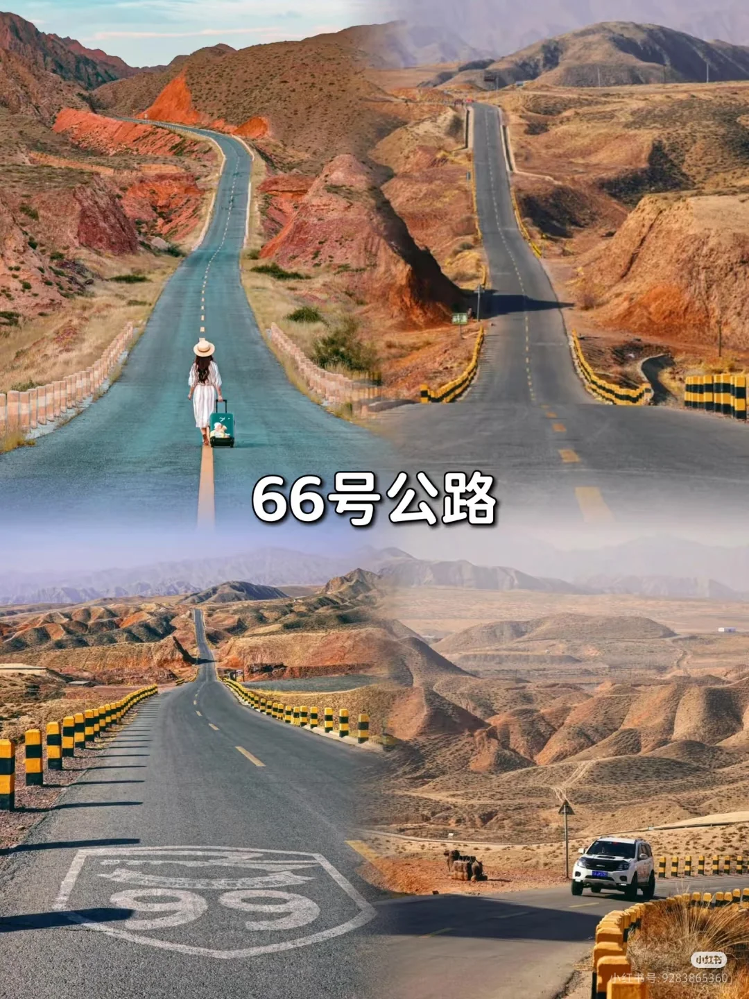 4～6月来宁夏一定要看完这篇再出发🚩听劝