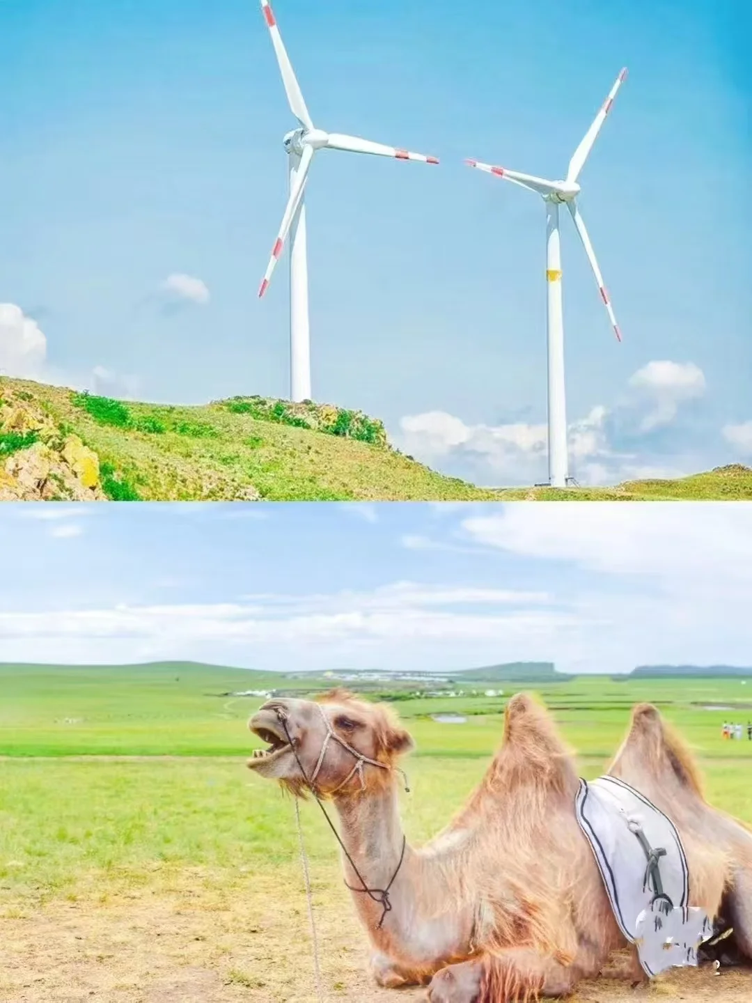 中国一生必去的50个景点--呼伦贝尔