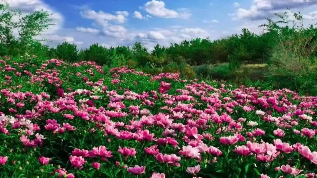 呼和浩特冷门景点指南，端午节快冲啊！