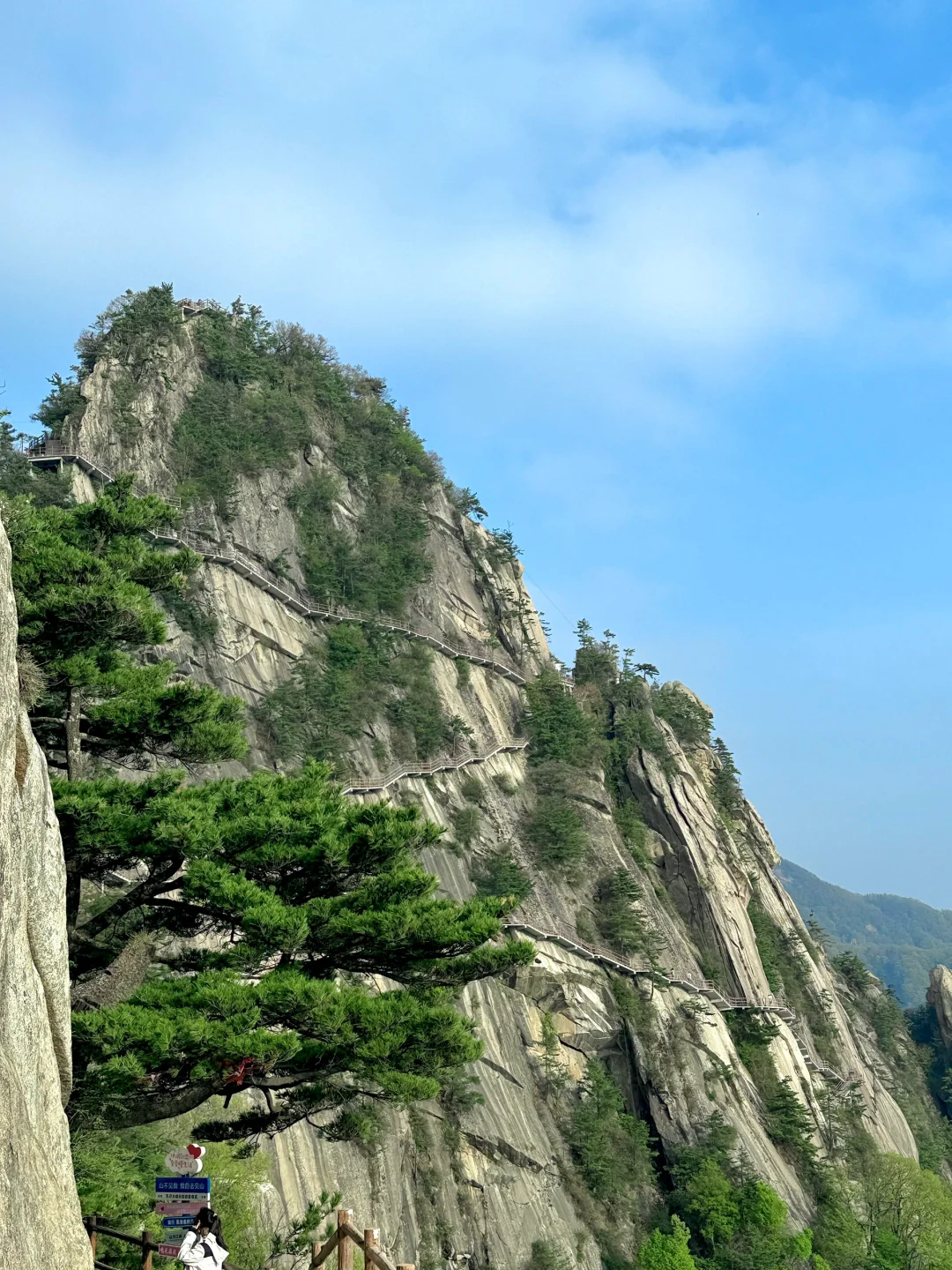 天然氧吧🌳 公主请入谷！