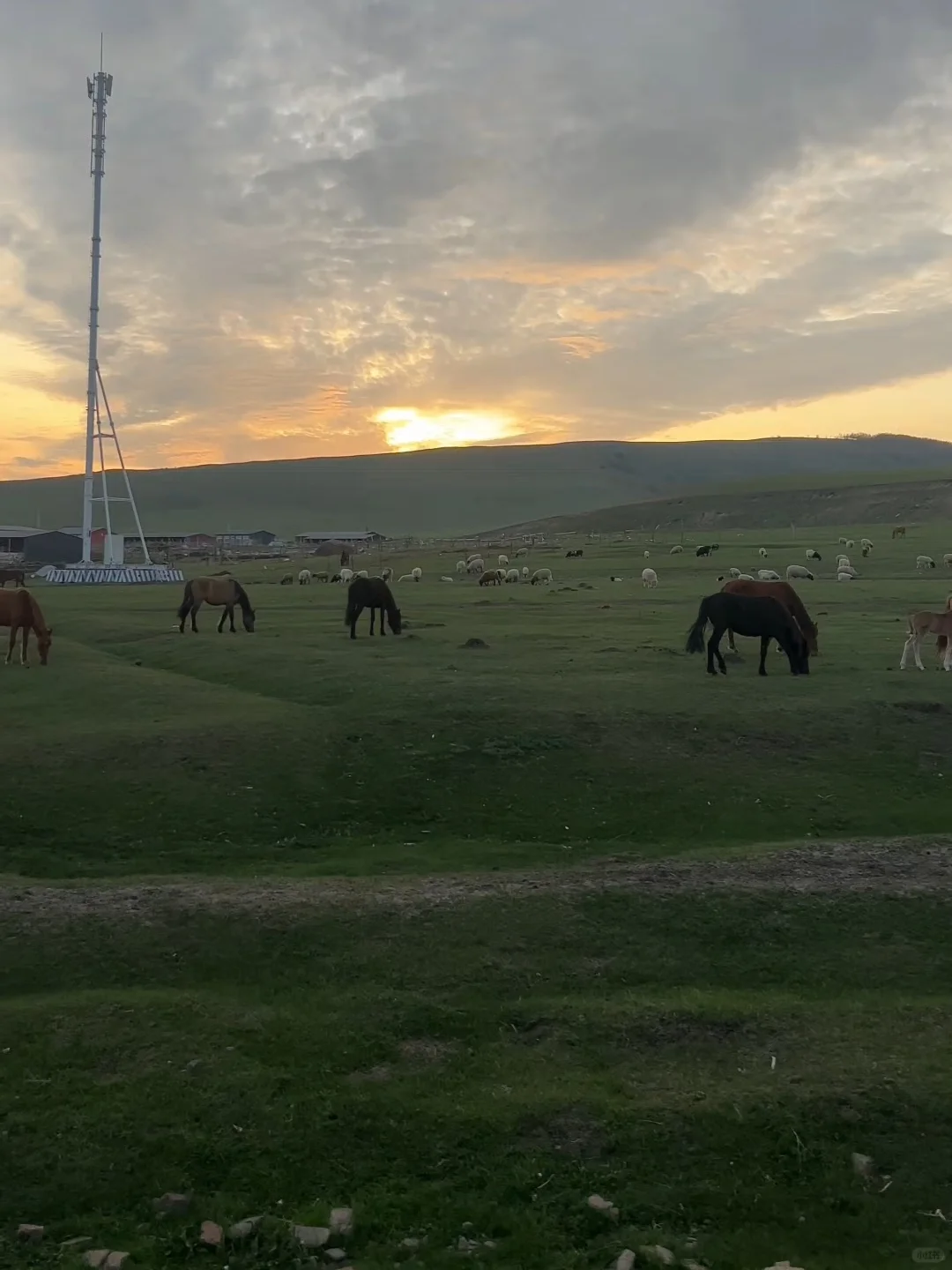 自驾达达线、热阿线，刚回来，我的建议是…