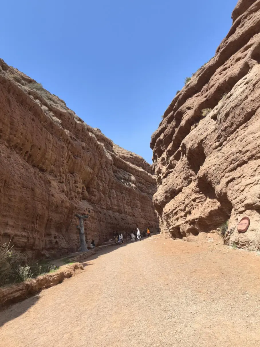 不用滤镜也能拍出壁纸感