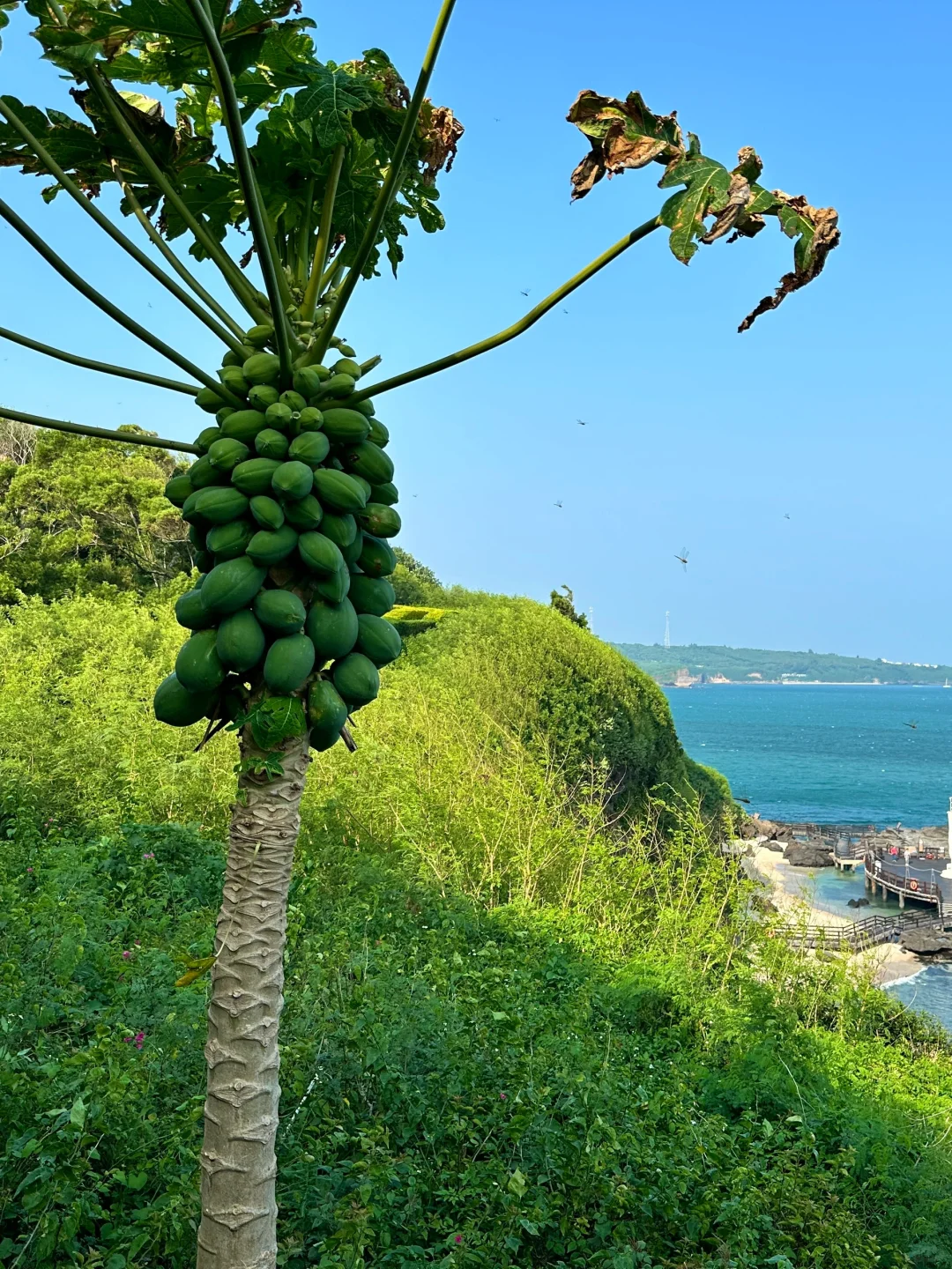 不是三亚，这是北海涠洲岛最美的景点❗️