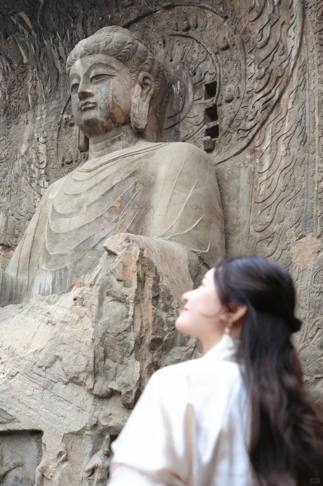 以为西安够美了😭直到我来了趟洛阳…