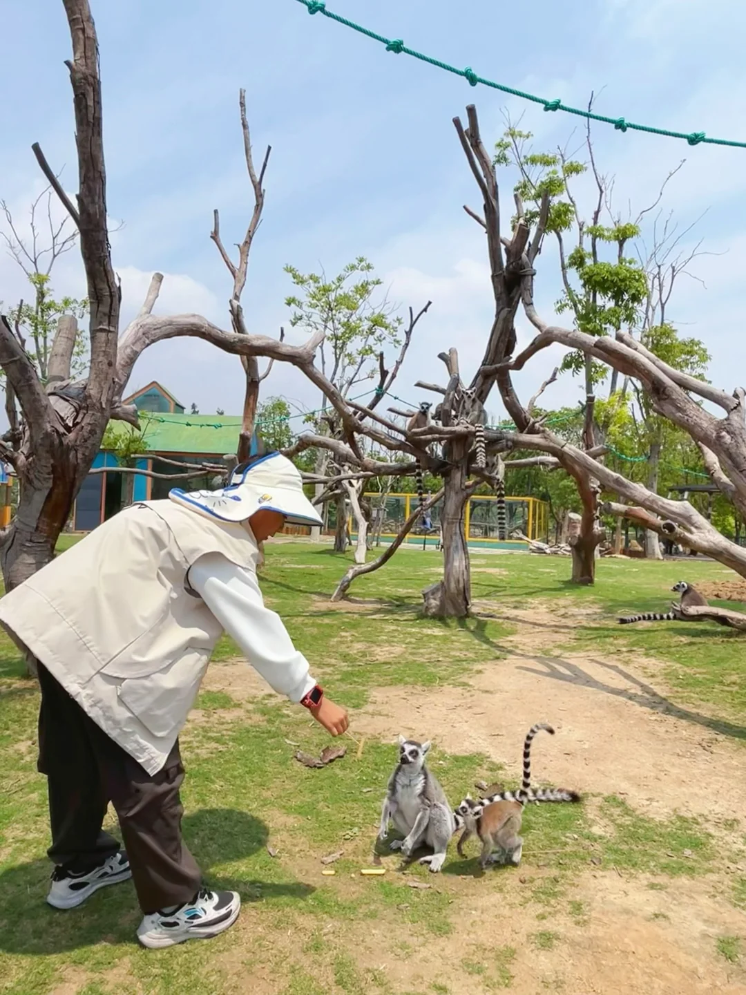 小众人少❗️又找到一个宝藏遛娃乐园