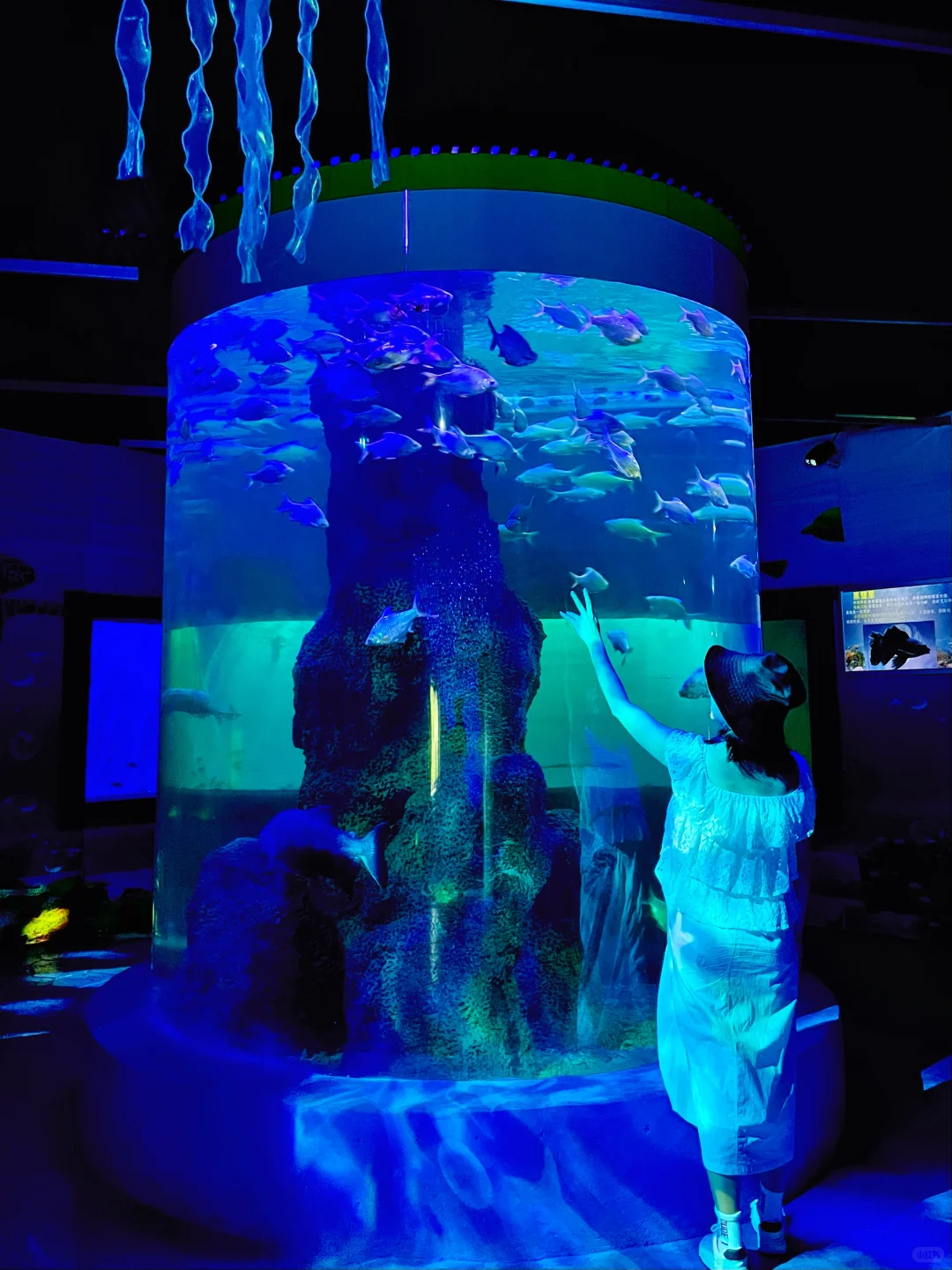 真的在广东‼️这个隐藏在山林的云海小镇绝了