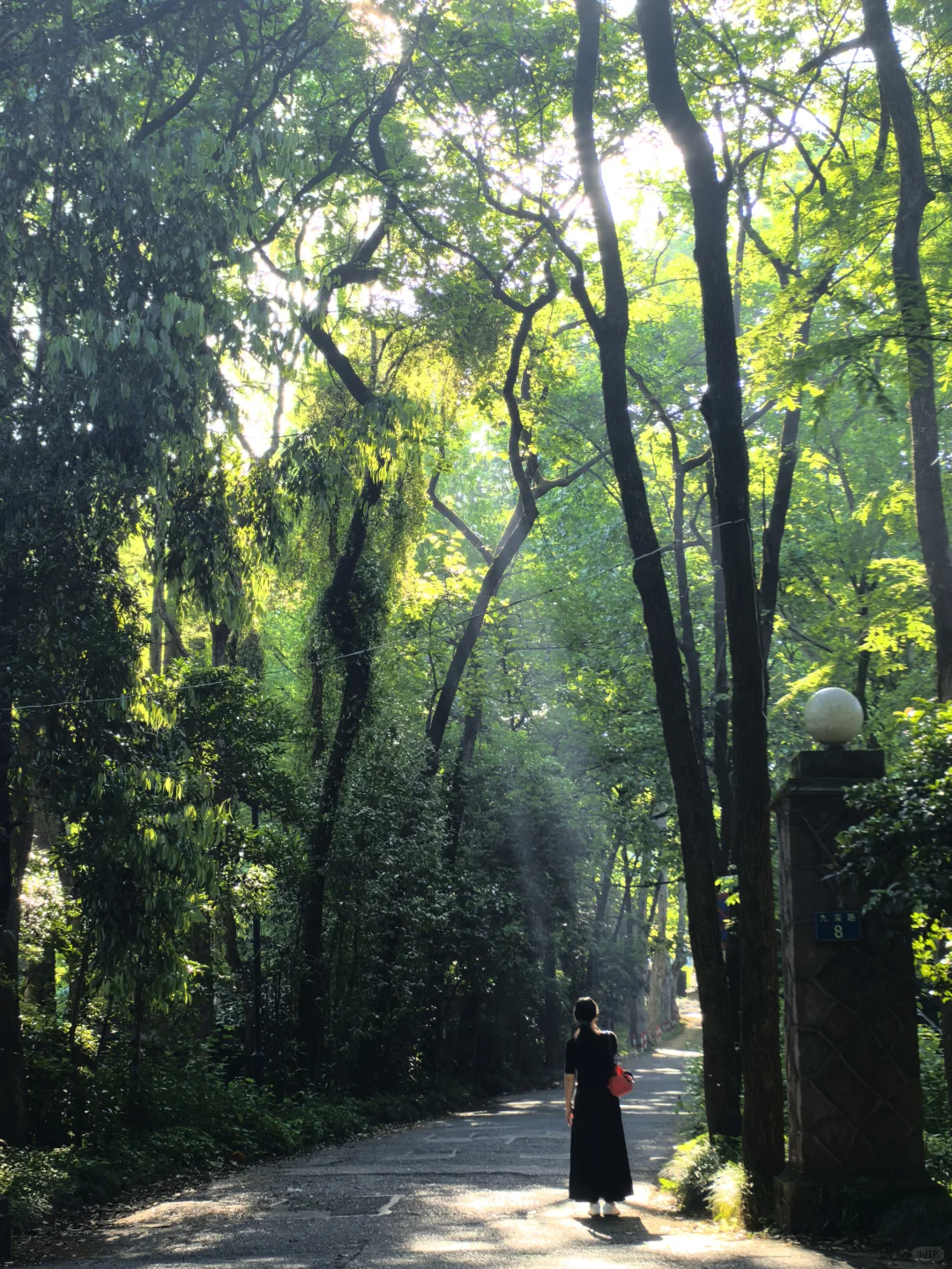 建议把杭州这条徒步线路列为国家级美色