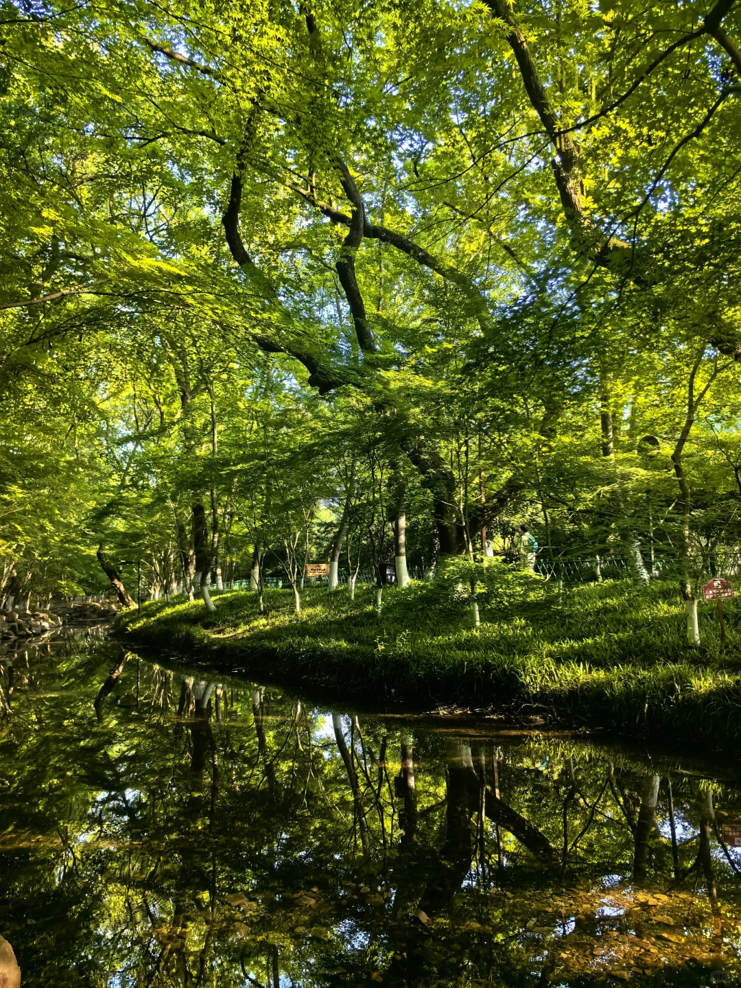 建议把杭州这条徒步线路列为国家级美色