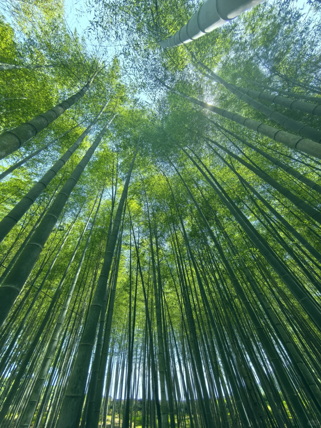 建议把杭州这条徒步线路列为国家级美色