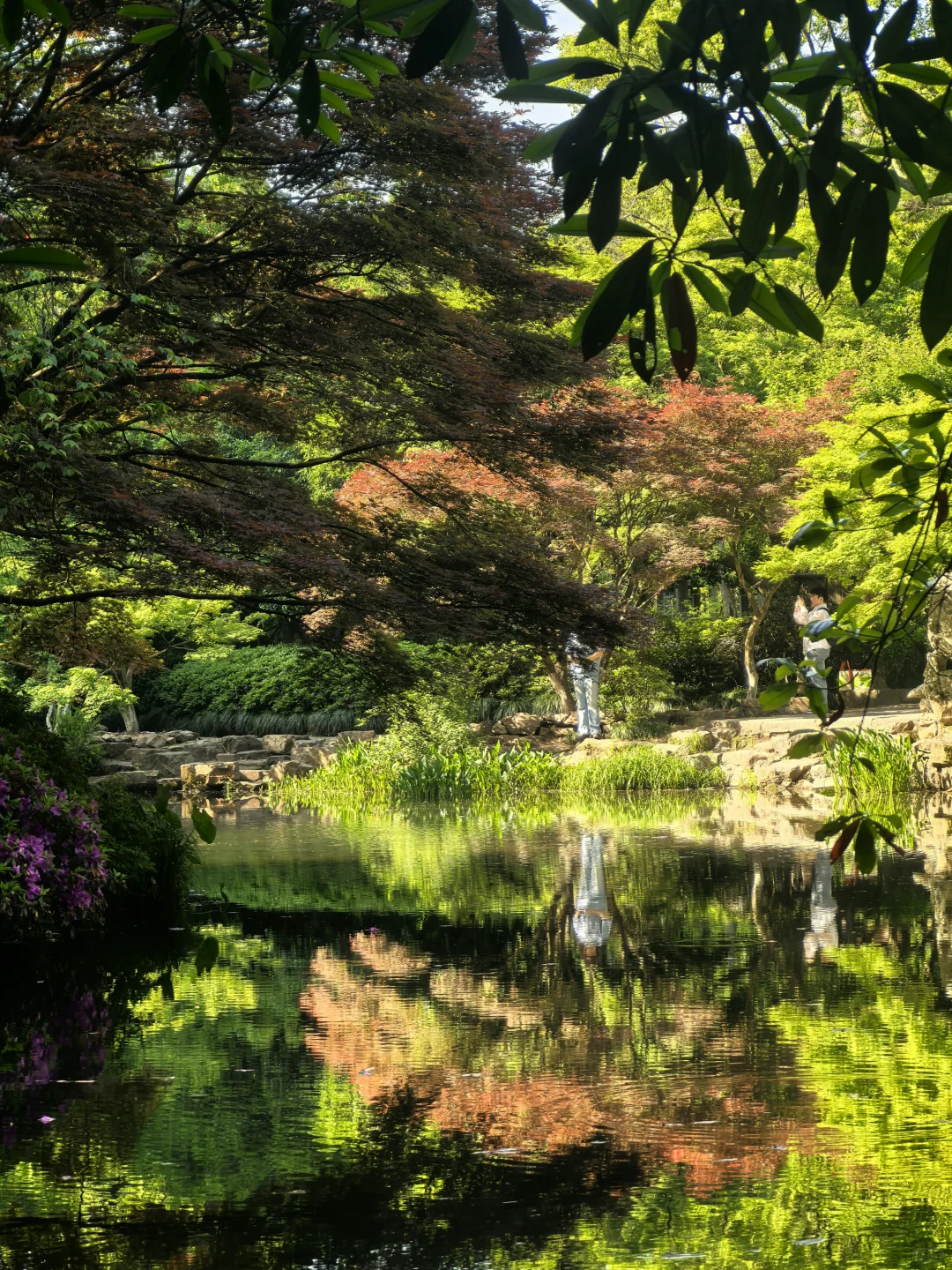 建议把杭州这条徒步线路列为国家级美色
