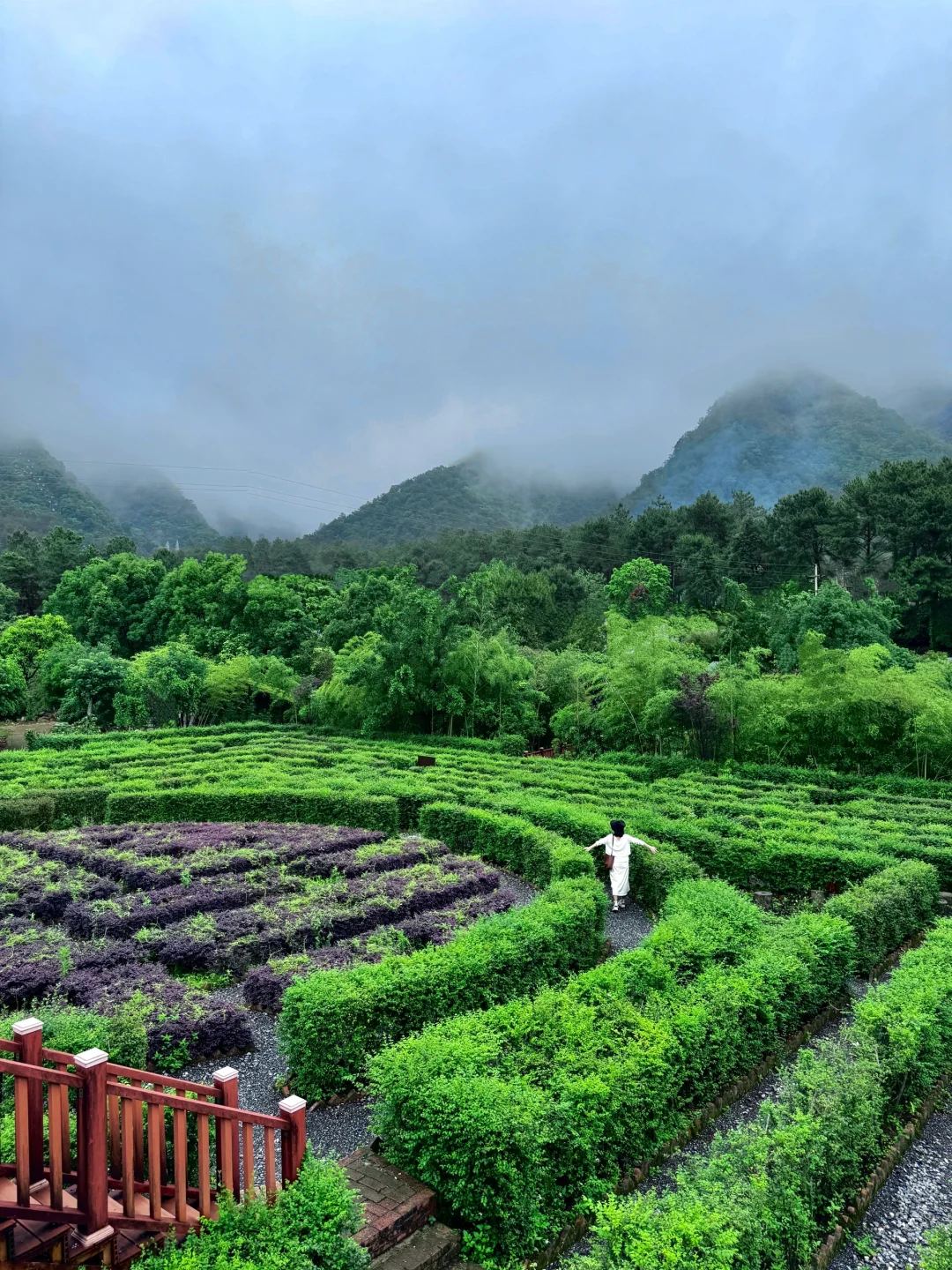 真的在广东‼️这个隐藏在山林的云海小镇绝了