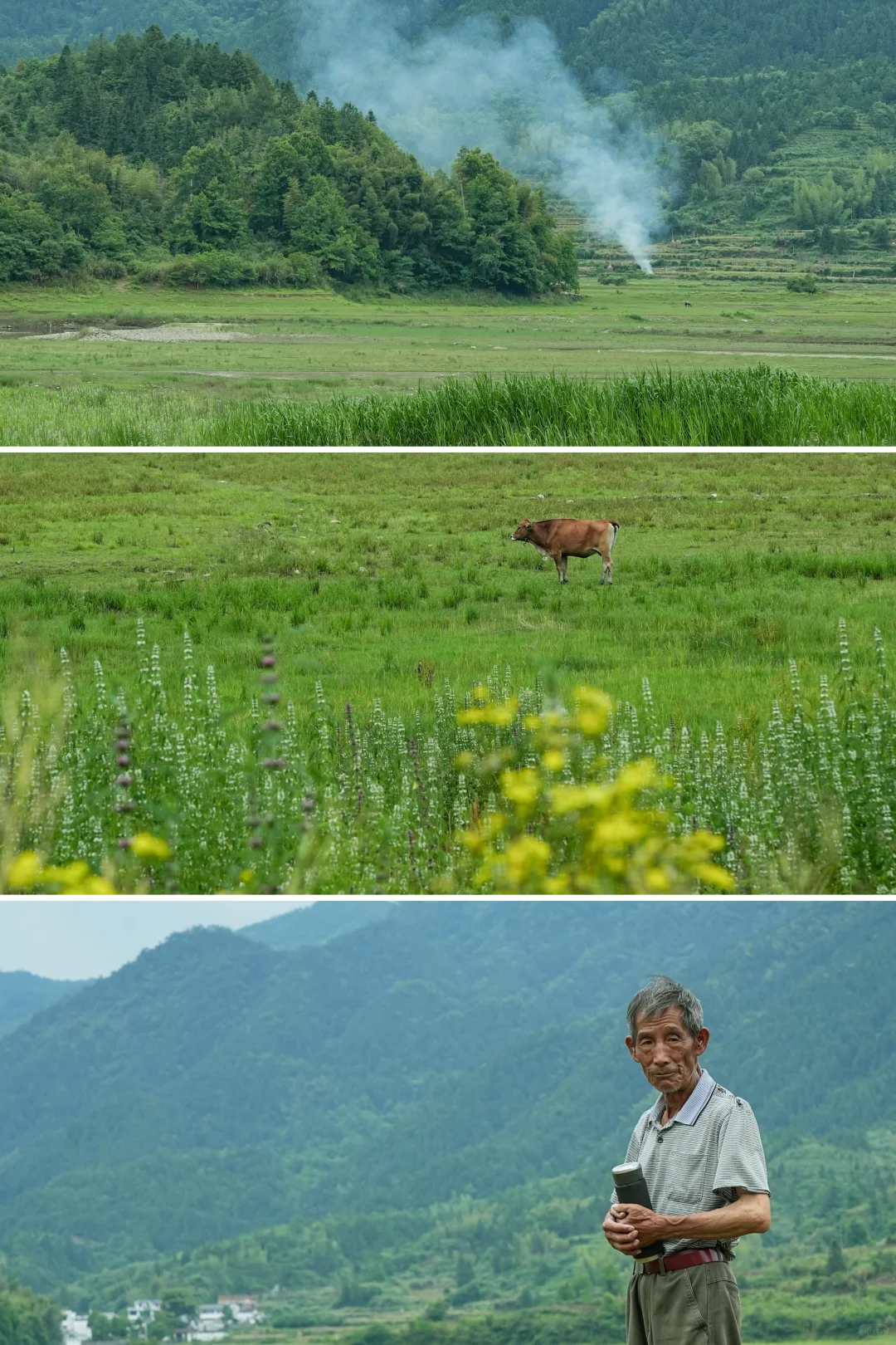 婺源刚回来，建议能量低的都去治愈一下🍃