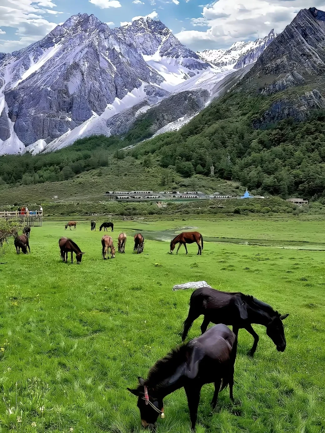 救命❗稻城亚丁真的美到窒息✨附旅游攻略！