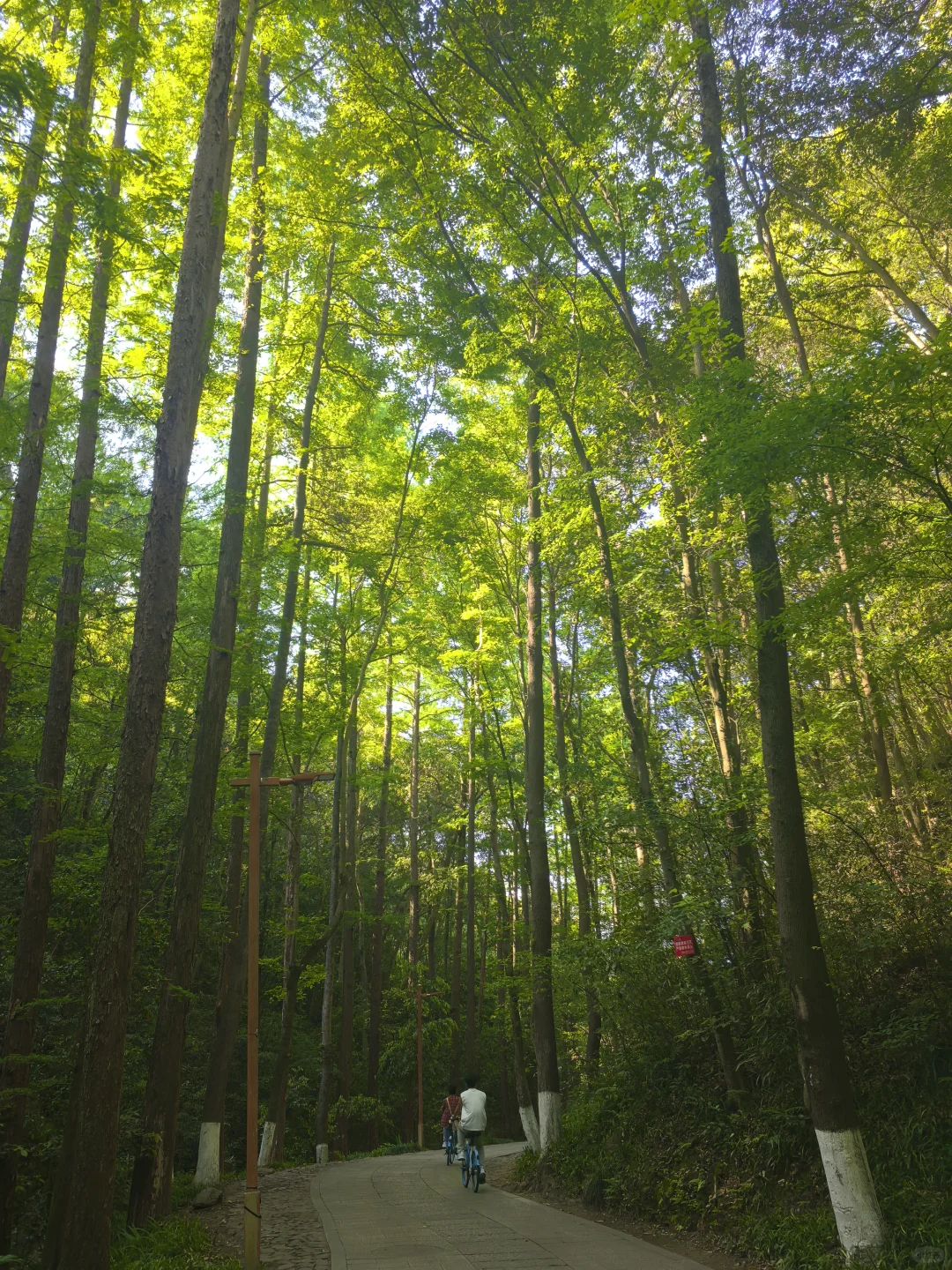 建议把杭州这条徒步线路列为国家级美色