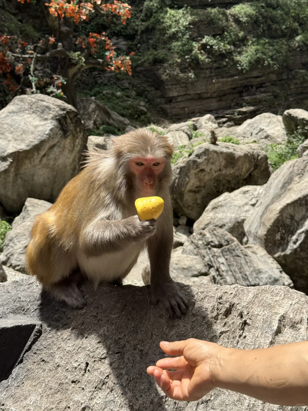 宜昌你美的有点那个了…