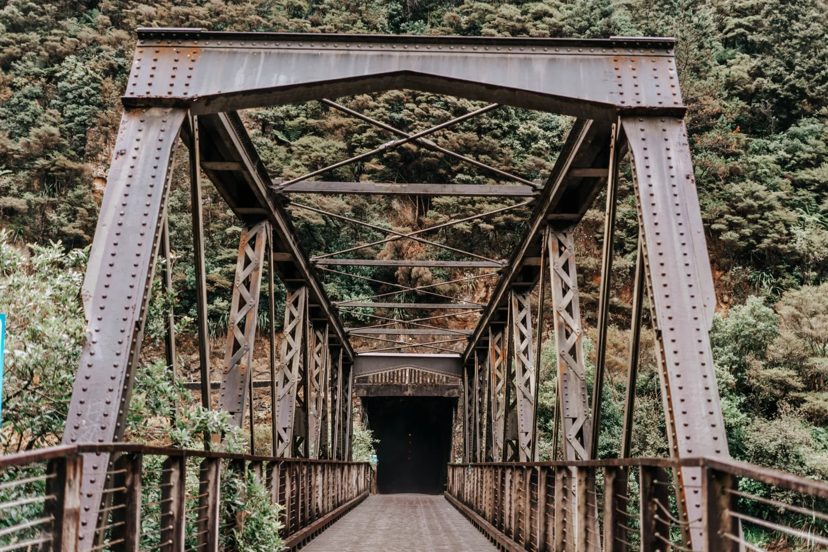 北岛最像鬼怪场景的徒步路线！Karangahake