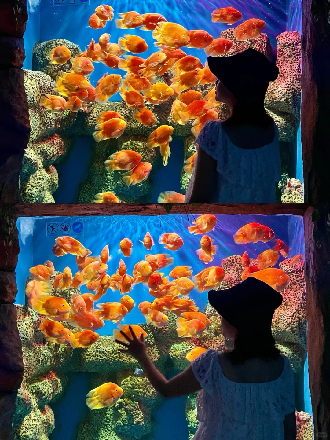 真的在广东‼️这个隐藏在山林的云海小镇绝了